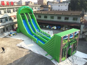 Commercial Giant Inflatable Zip Line Slide For Adults Green Color