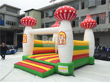 Water Slide Trampoline Inflatable Castle For Commercial Game