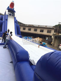 Commercial Giant Sharp Long Inflatable  for Kids / Adult Aqua Park