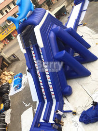 Commercial Giant Sharp Long Inflatable  for Kids / Adult Aqua Park