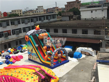 Commercial Inflatable Slide