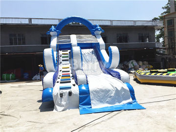 Blue Small Inflatable Dolphin Slide With PVC Material / Blow Up Climbing Wall