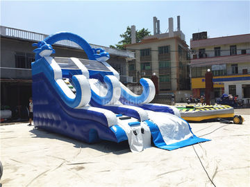 Blue Small Inflatable Dolphin Slide With PVC Material / Blow Up Climbing Wall