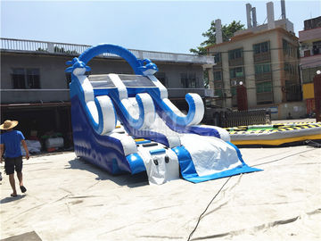 Blue Small Inflatable Dolphin Slide With PVC Material / Blow Up Climbing Wall