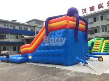 Large Octopus Inflatable Water Park , Inflatable Pool Slide On Land Park