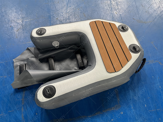 Customizable Inflatable Dog Water Ramp with Air Pump