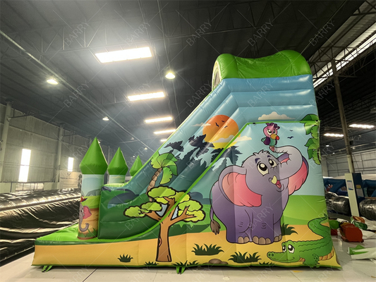 Customizable 6x4M Animal Inflatable Slide for Kids