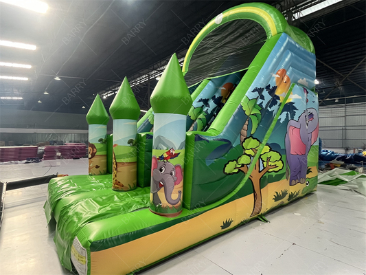 Customizable 6x4M Animal Inflatable Slide for Kids