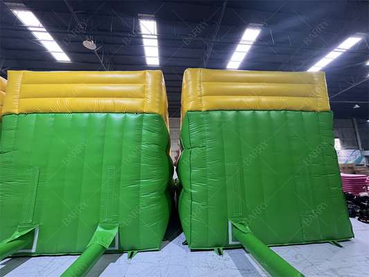 Quality Assurance Lion Inflatable Pool Slides, Inflatable Water Slide For Inground Pools