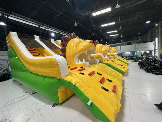 Quality Assurance Lion Inflatable Pool Slides, Inflatable Water Slide For Inground Pools