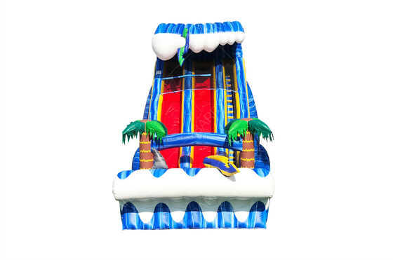 Commercial Grade Large Outdoor Backyard 24ft SHARK SIGHTED DUAL LANE Slide For Kids And Adults