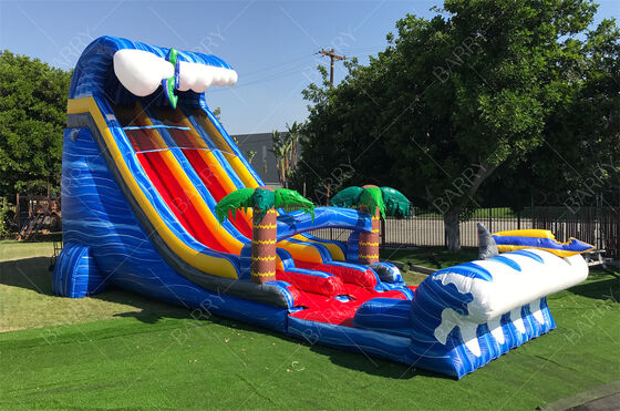 Commercial Grade Large Outdoor Backyard 24ft SHARK SIGHTED DUAL LANE Slide For Kids And Adults