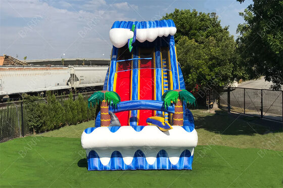 Commercial Grade Large Outdoor Backyard 24ft SHARK SIGHTED DUAL LANE Slide For Kids And Adults