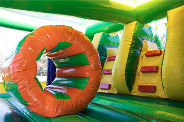 Commercial Teenage Mutant Ninja Turtles Dual Slide Combo Jumping Castle For Party Custom Size