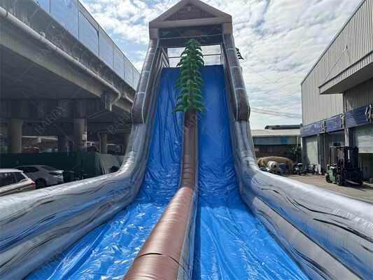 Commercial Grade Giant Inflatable Water Slide, Tropical Themed Dual Lane Wet/Dry Slide For Amusement Parks & Festivals