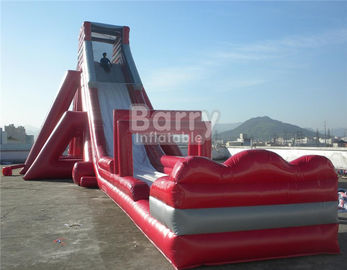 Fun Giant Red Hippo Water Slide / Inflatable  For Adult