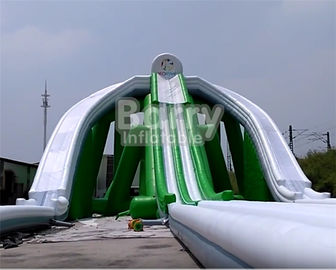 Summer Kids Games Adult Size Inflatable Water Slide With Blower 3 Years Warranty