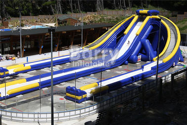 Logo Printed Giant Inflatable Slide , Hippo Three Lanes Inflatable Water Slide