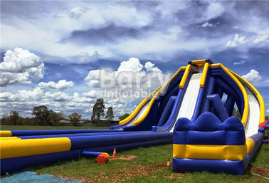 Logo Printed Giant Inflatable Slide , Hippo Three Lanes Inflatable Water Slide