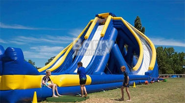 Giant Inflatable Water  , Long Inflatable Trippo Water Slide For Kids And Adults