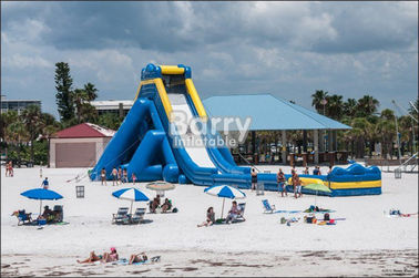 Outdoor Commercial Giant Adults Inflatable Hippo Water Slide For Beach With Blower