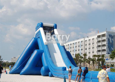 Outdoor Commercial Giant Adults Inflatable Hippo Water Slide For Beach With Blower