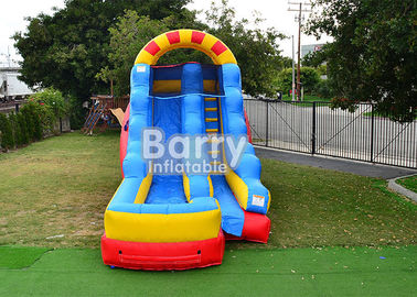 Commercial PVC Outdoor Water Park Slide Inflatable With Customized Logo