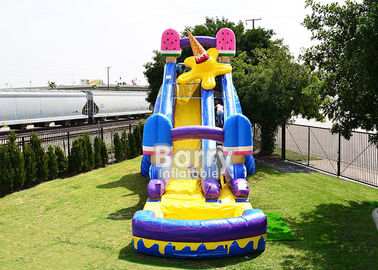 24 FT Ice Pops  , Largest Inflatable Water Slide For Playground