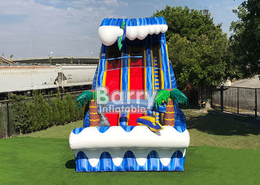 Giant Inflatable Water Slides For Adult , Commercial 24′ Shark Sighted Dual Lane Slide ,