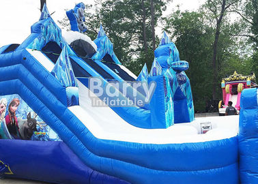 Customized Size Frozen Double Commercial Inflatable Slide Indoor And Outdoor For Kids