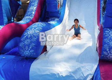 0.55mm PVC Frozen Inflatable Water Slide With Pool / Giant Amusement Water Park Game