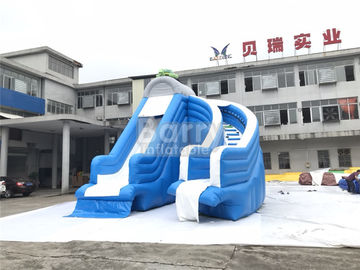 Cool Splash Fun Inflatable Pool Slide , Realistic Shape Tortoise Water Slide For Inground Pools