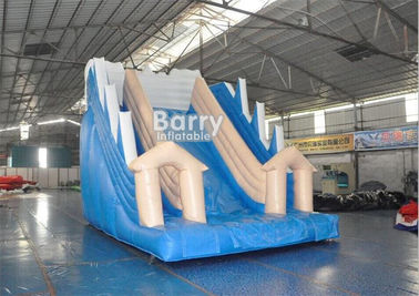 White And Blue Inflatable Water Slides / PVC Tarpaulin OEM Childrens Outdoor Slide