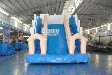 White And Blue Inflatable Water Slides / PVC Tarpaulin OEM Childrens Outdoor Slide