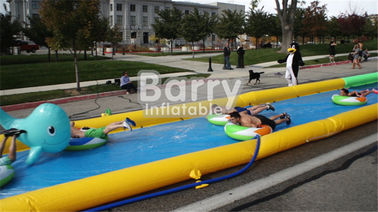 PVC Tarpaulin Giant Inflatable Water Slide , Custom Party City 