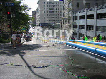 PVC Tarpaulin Giant Inflatable Water Slide , Custom Party City 