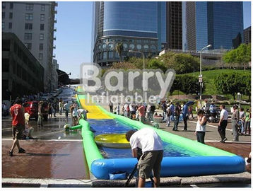 PVC Tarpaulin Giant Inflatable Water Slide , Custom Party City 