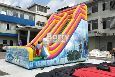 Outdoor Inflatable Dry Slide For Kids / Commerical Slide With Princess