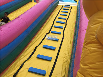 PVC Commercial Inflatable Slide / Custom Design Inflatable Dry Slide Playground