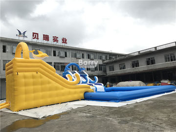 Customized Inflatable Water Park Slide With Pool / Kids Inflatable Playground