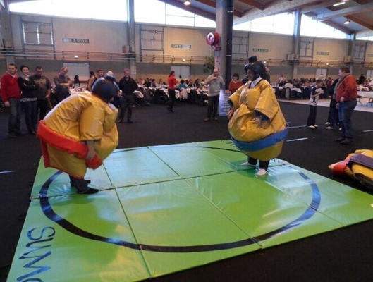 Tarpaulin Inflatable Sumo Wrestling Suits Interactive Sport Games