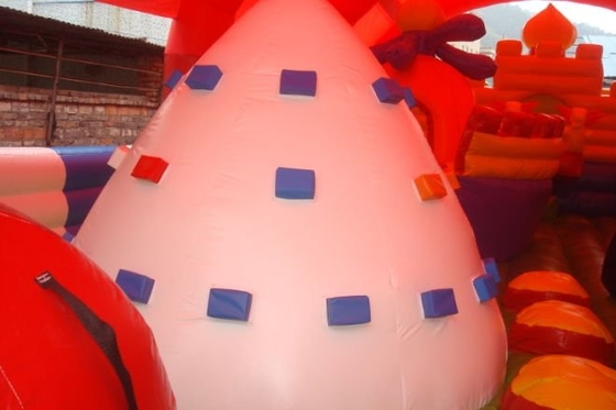 Teenagers Inflatable Bouncy Castle For Theme Park Tear Resistance