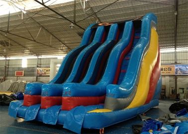 Large Commercial PVC Tarpaulin Adults Inflatable Hippo Slide Approved CE