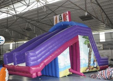 Huge Waterproof Children Commercial Inflatable Slide For Pool Rental