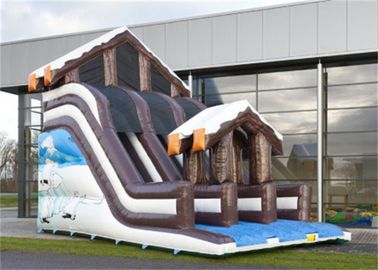 Full Print Commercial Inflatable Slide, Attractive Inflatable Playground Slide With House Design