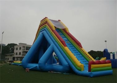 Outdoor Giant Hippo Inflatable Water Slides And Pool For Adults