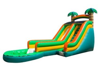 Green Palm Tree Inflatable Water Slides / Inflatable Backyard Water Slide