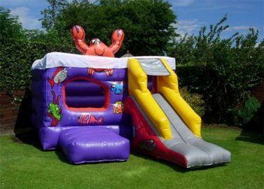 Grassland Inflatable Bouncer , PVC Material Small Slide Bouncer For Kids