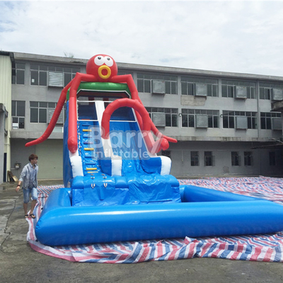 BSCI Outdoor Inflatable Water Slides Customized Size Shape Logo