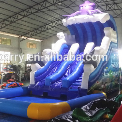 Backyard Residential 18ft Double Inflatable Water Slides Digital Printing